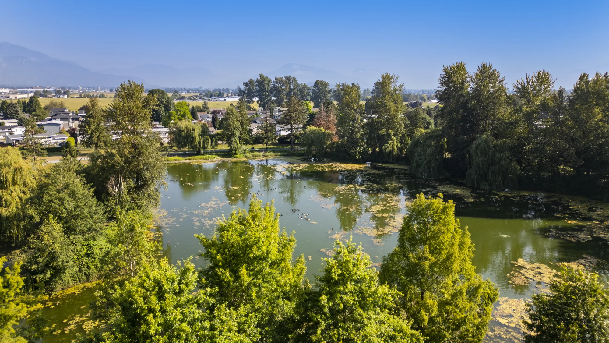 Aerial view across Sardis Park toward the mountains