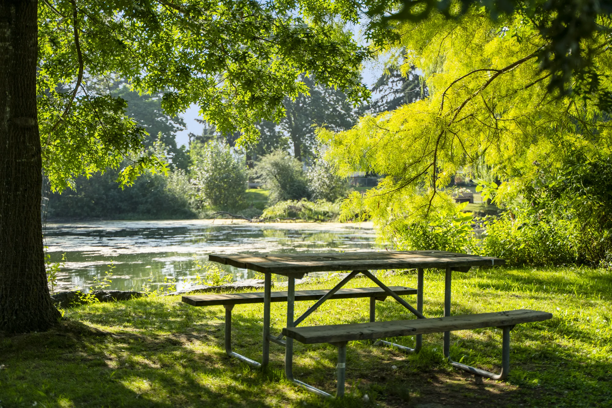 Picnic table beside Sardis Park lake